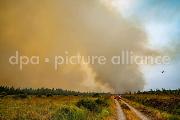 Hoge Venen - Hautes Fagnes 